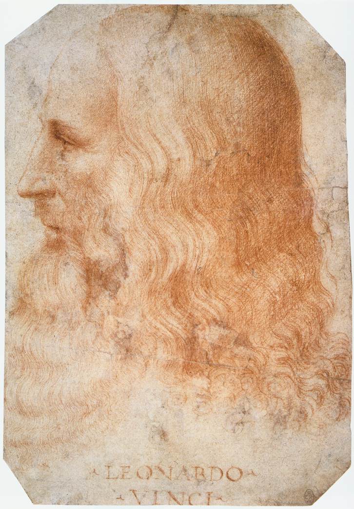 Леонардо Да Винчи поражает своими наблюдениями и способностью понимать законы, управляющие природой. Уолтер Айзексон в биографии Леонардо приближает его к нам и раскрывает много его загадок. От этого Леонардо становтся еще более великим.