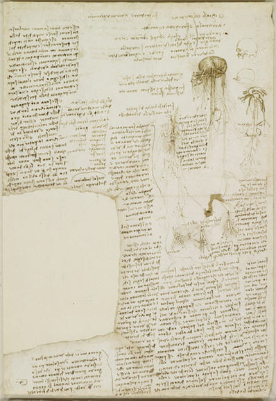 Язык дятла на странице дневника Леонардо.